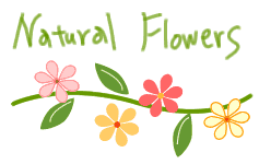 ���p�C���X�g